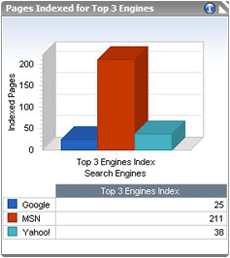 Pages Indexed for Top 3 Engine